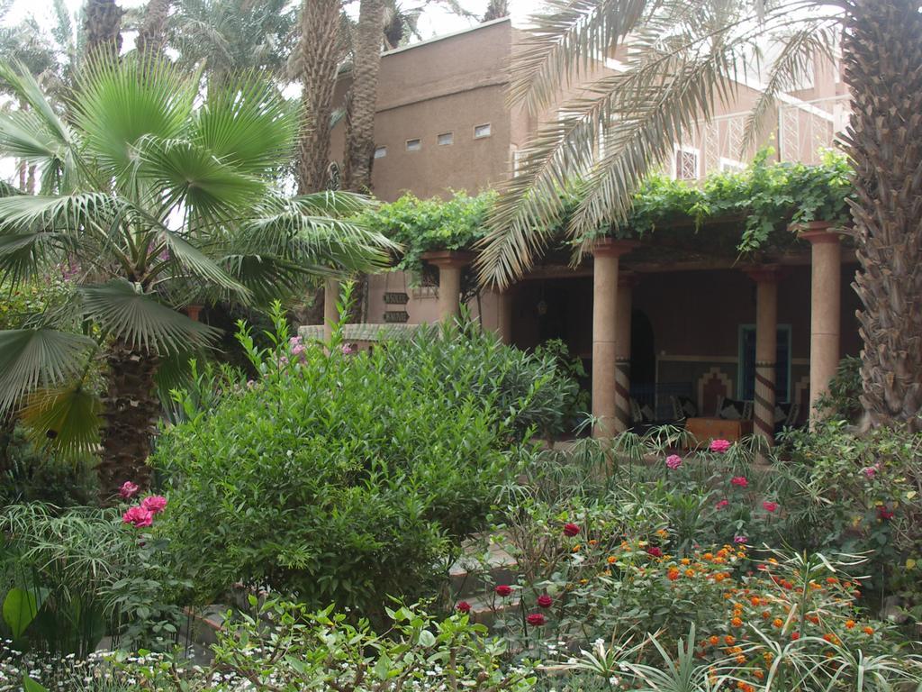 Fibule Du Draa Kasbah D'hôtes Zagora Exterior foto