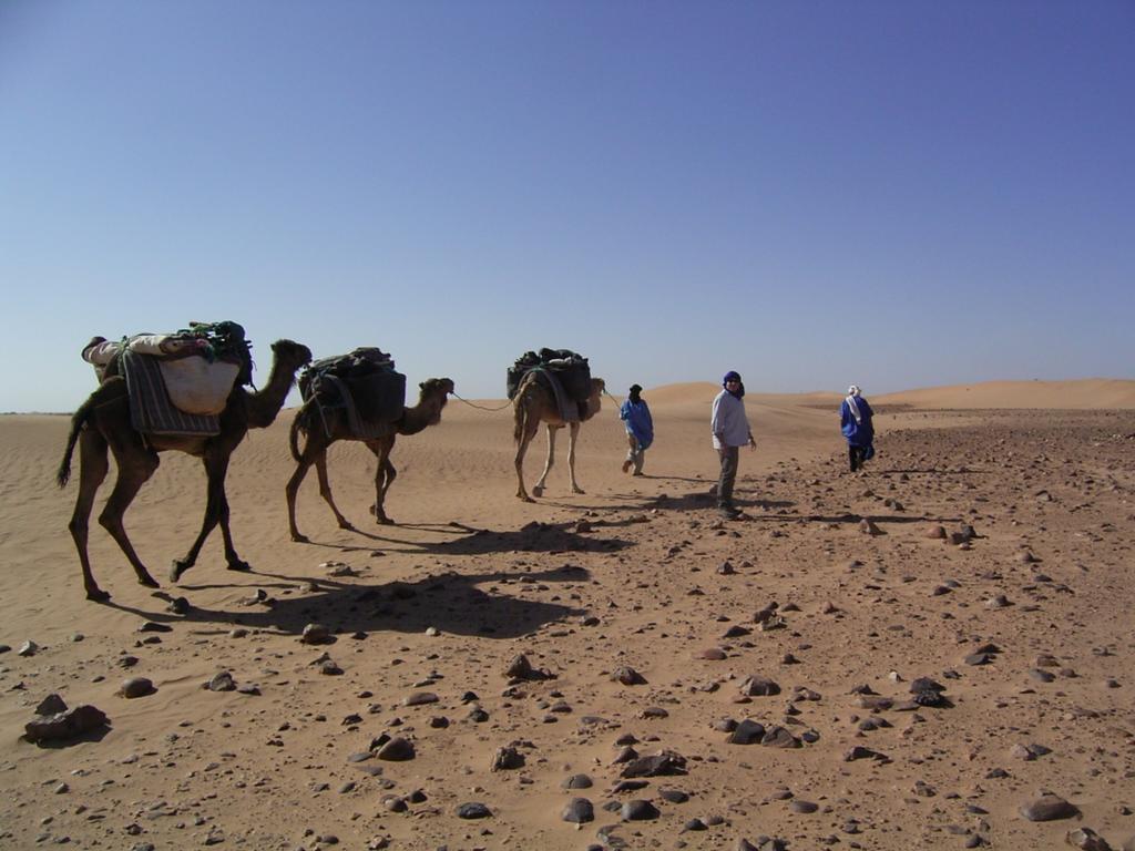 Fibule Du Draa Kasbah D'hôtes Zagora Exterior foto
